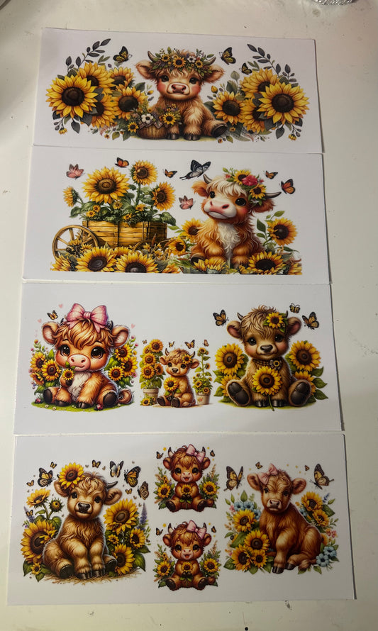 Sunflowers W/ a adorable Cow